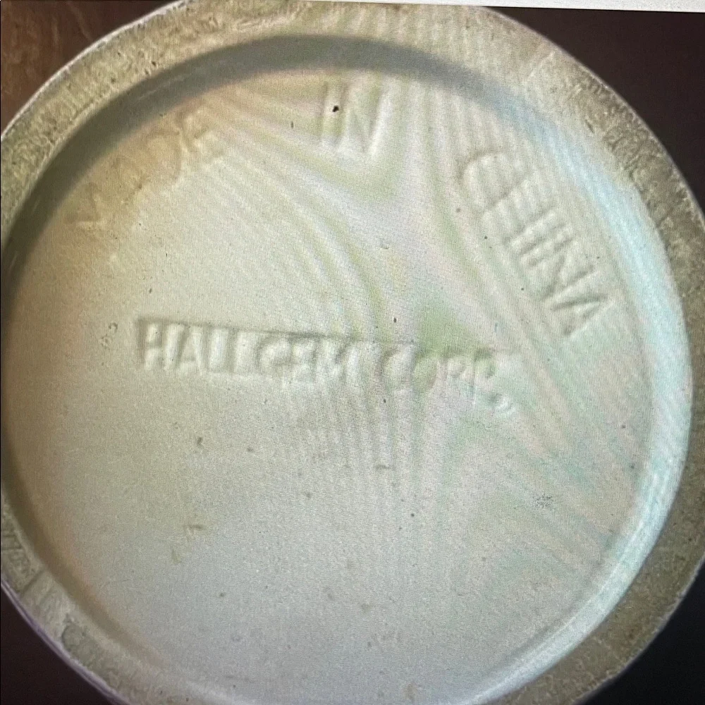 VTG Colorful Hallgem Corp Chevron Ceramic Planter